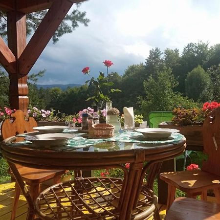 Agroturystyka Millerowka Kamionka Mala  Esterno foto