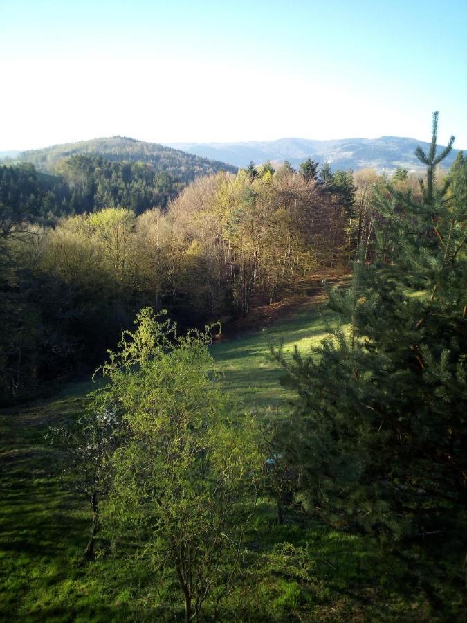Agroturystyka Millerowka Kamionka Mala  Esterno foto