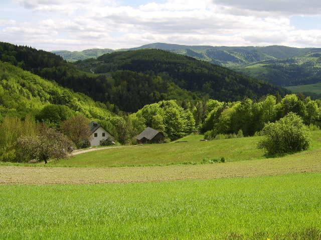 Agroturystyka Millerowka Kamionka Mala  Esterno foto