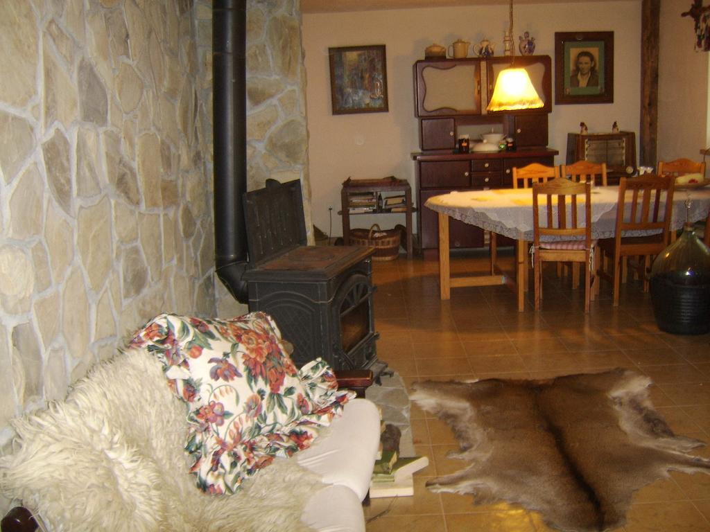 Agroturystyka Millerowka Kamionka Mala  Esterno foto