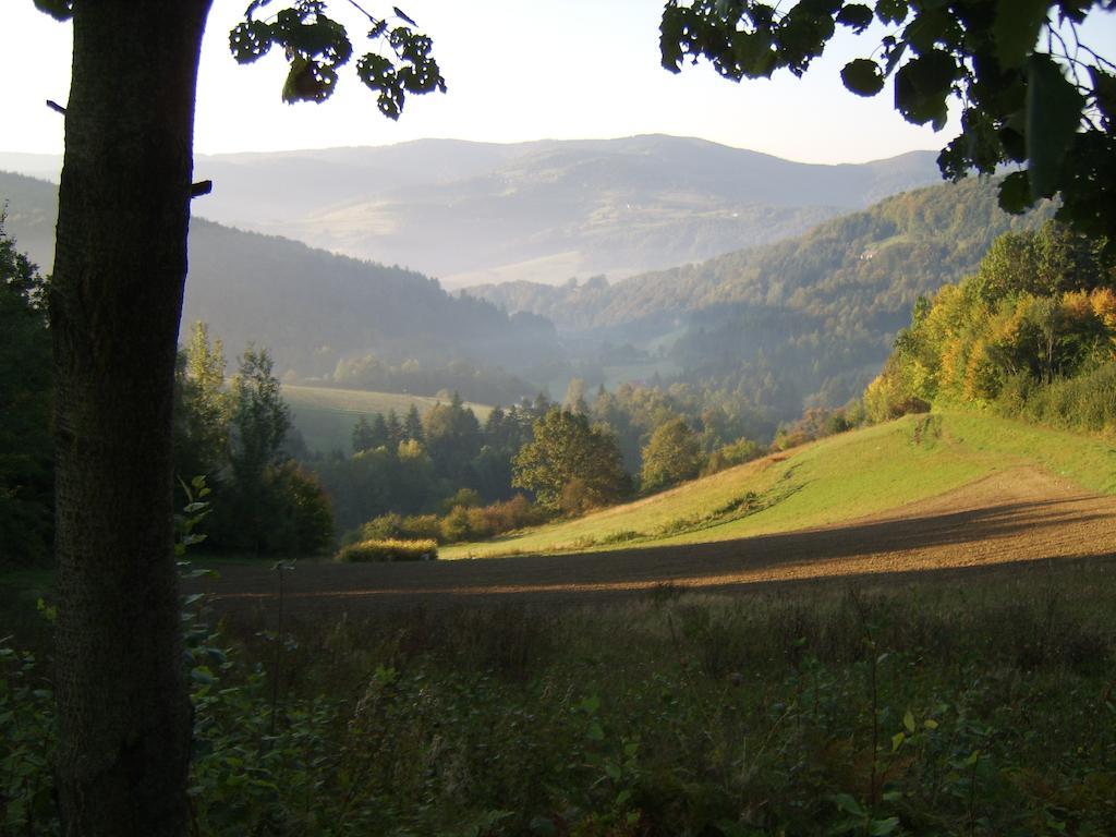 Agroturystyka Millerowka Kamionka Mala  Esterno foto