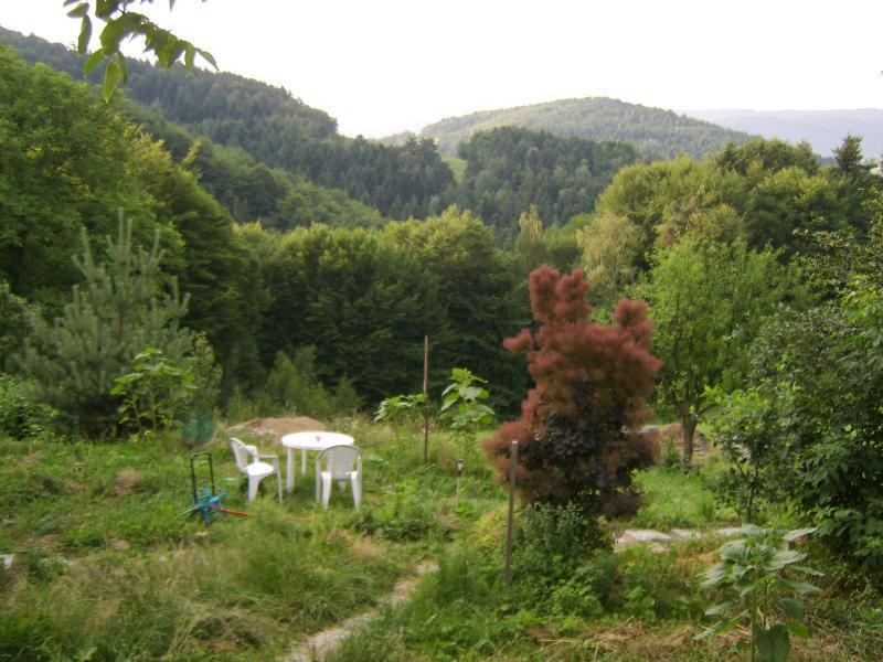 Agroturystyka Millerowka Kamionka Mala  Esterno foto