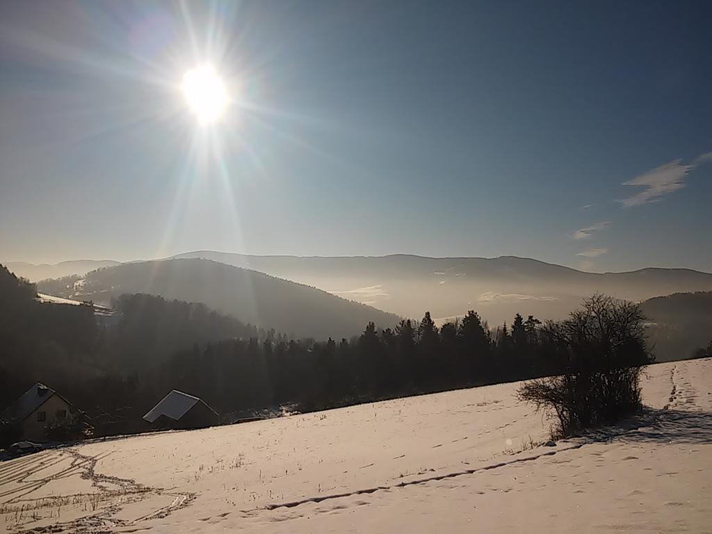 Agroturystyka Millerowka Kamionka Mala  Esterno foto